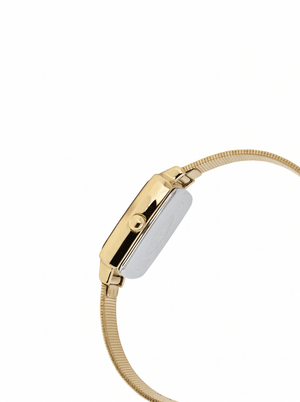 Orzu Watches - Anne Klein Beige Dial Gold Stainless Steel Mesh Women's Watch